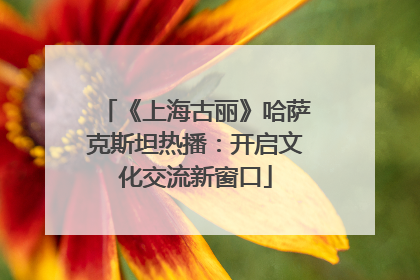 《上海古丽》哈萨克斯坦热播：开启文化交流新窗口