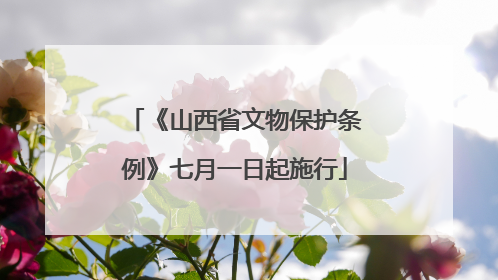 《山西省文物保护条例》七月一日起施行