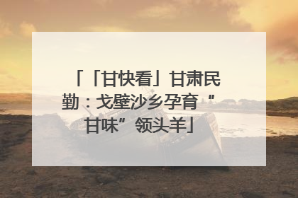 「甘快看」甘肃民勤：戈壁沙乡孕育“甘味”领头羊