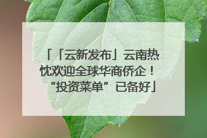 「云新发布」云南热忱欢迎全球华商侨企！“投资菜单”已备好