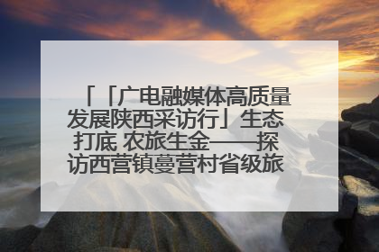 「广电融媒体高质量发展陕西采访行」生态打底 农旅生金——探访西营镇蔓营村省级旅游示范村的振兴密码