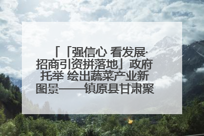 「强信心 看发展·招商引资拼落地」政府托举 绘出蔬菜产业新图景——镇原县甘肃聚广利现代设施蔬菜种植基地见闻