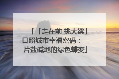 「走在前 挑大梁」日照城市幸福密码：一片盐碱地的绿色蝶变