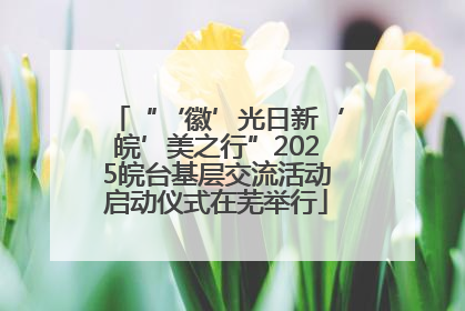 “‘徽’光日新‘皖’美之行”2025皖台基层交流活动启动仪式在芜举行