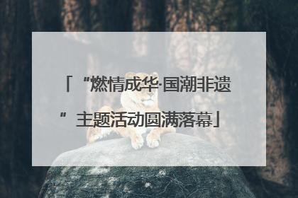 “燃情成华·国潮非遗”主题活动圆满落幕