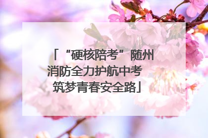“硬核陪考”随州消防全力护航中考 筑梦青春安全路