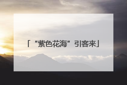 “紫色花海”引客来
