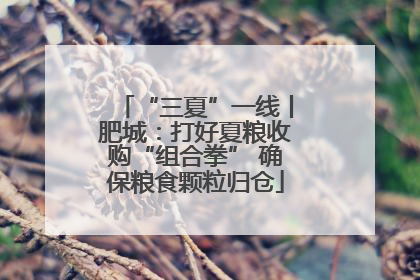 “三夏”一线丨肥城：打好夏粮收购“组合拳” 确保粮食颗粒归仓
