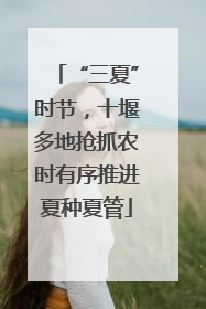 “三夏”时节，十堰多地抢抓农时有序推进夏种夏管