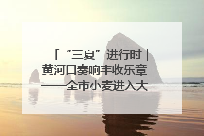 “三夏”进行时｜黄河口奏响丰收乐章——全市小麦进入大面积收获高峰期