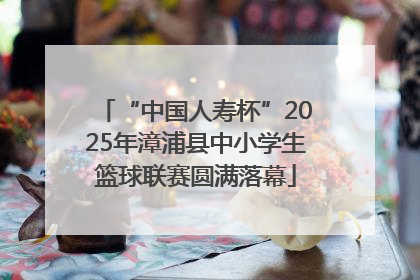 “中国人寿杯”2025年漳浦县中小学生篮球联赛圆满落幕