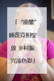 “南繁”睡莲竞相绽放 乡村振兴添色彩