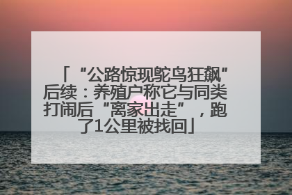 “公路惊现鸵鸟狂飙”后续：养殖户称它与同类打闹后“离家出走”，跑了1公里被找回