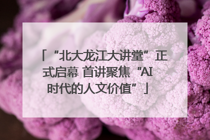“北大龙江大讲堂”正式启幕 首讲聚焦“AI时代的人文价值”