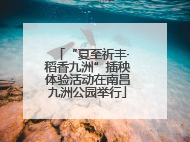 “夏至祈丰·稻香九洲”插秧体验活动在南昌九洲公园举行