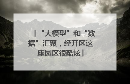 “大模型”和“数据”汇聚，经开区这座园区很酷炫