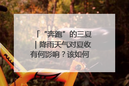 “奔跑”的三夏｜降雨天气对夏收有何影响？该如何防范？一文了解