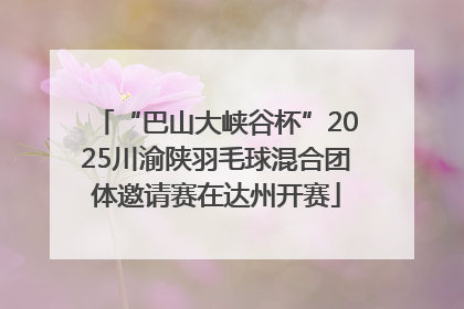 “巴山大峡谷杯”2025川渝陕羽毛球混合团体邀请赛在达州开赛