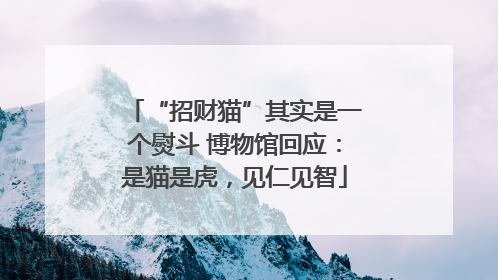 “招财猫”其实是一个熨斗 博物馆回应：是猫是虎，见仁见智