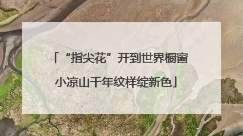 “指尖花”开到世界橱窗 小凉山千年纹样绽新色