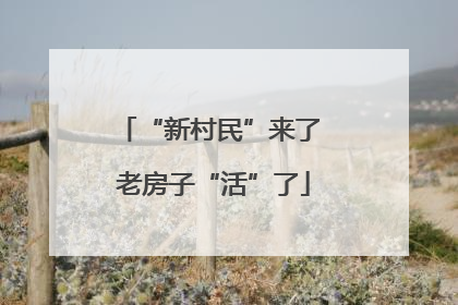 “新村民”来了 老房子“活”了