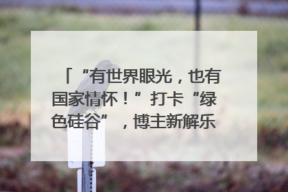 “有世界眼光，也有国家情怀！”打卡“绿色硅谷”，博主新解乐山｜网络名人四川行