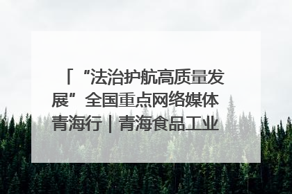 “法治护航高质量发展”全国重点网络媒体青海行｜青海食品工业协会：架起“青字号”美食的产业化桥梁