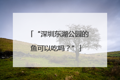 “深圳东湖公园的鱼可以吃吗？”