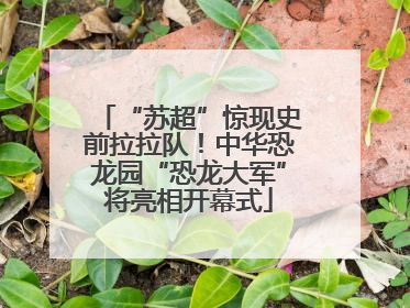 “苏超”惊现史前拉拉队！中华恐龙园“恐龙大军”将亮相开幕式