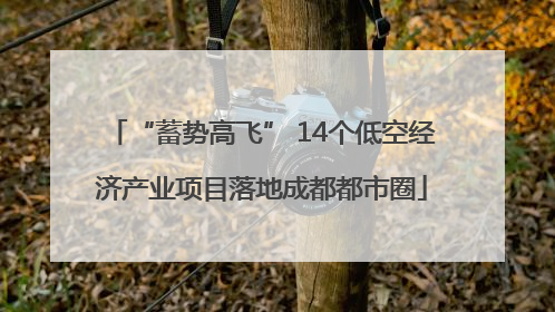 “蓄势高飞” 14个低空经济产业项目落地成都都市圈