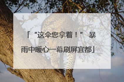 “这伞您拿着！” 暴雨中暖心一幕刷屏宜都