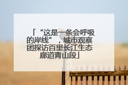 “这是一条会呼吸的岸线”，城市观察团探访百里长江生态廊道青山段