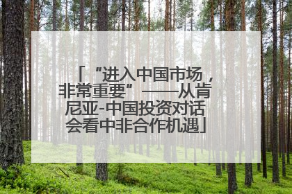 “进入中国市场，非常重要”——从肯尼亚-中国投资对话会看中非合作机遇