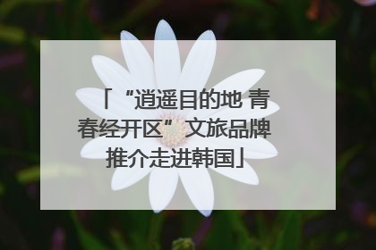 “逍遥目的地 青春经开区”文旅品牌推介走进韩国