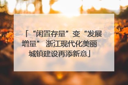 “闲置存量”变“发展增量” 浙江现代化美丽城镇建设再添新意