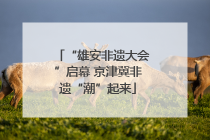 “雄安非遗大会”启幕 京津冀非遗“潮”起来