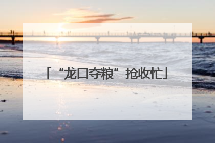 “龙口夺粮”抢收忙