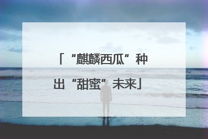 “麒麟西瓜”种出“甜蜜”未来
