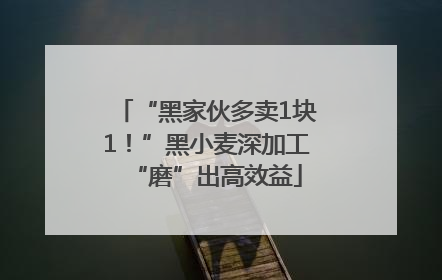 “黑家伙多卖1块1！”黑小麦深加工“磨”出高效益