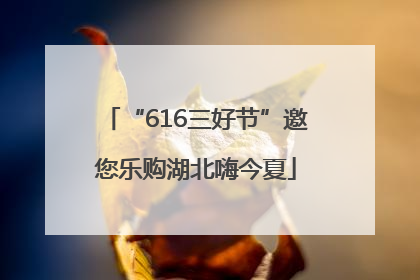 “616三好节”邀您乐购湖北嗨今夏