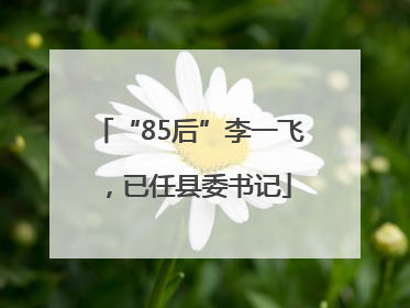 “85后”李一飞，已任县委书记