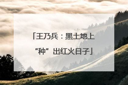 王乃兵：黑土地上“种”出红火日子