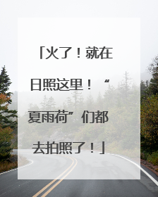火了！就在日照这里！“夏雨荷”们都去拍照了！