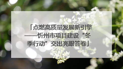 点燃高质量发展新引擎——忻州市项目建设“冬季行动”交出亮眼答卷