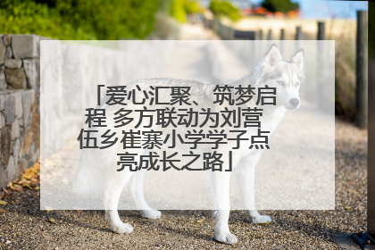 爱心汇聚、筑梦启程 多方联动为刘营伍乡崔寨小学学子点亮成长之路