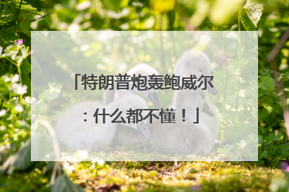 特朗普炮轰鲍威尔：什么都不懂！