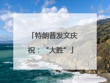 特朗普发文庆祝：“大胜”