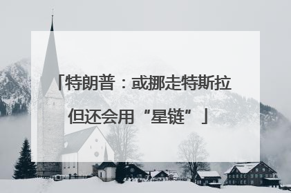 特朗普：或挪走特斯拉 但还会用“星链”