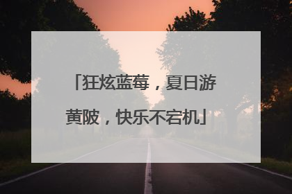 狂炫蓝莓，夏日游黄陂，快乐不宕机
