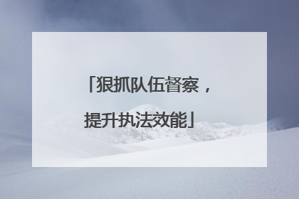 狠抓队伍督察，提升执法效能